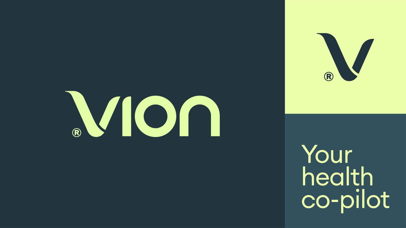 Plantilla_Behance_Vion-08