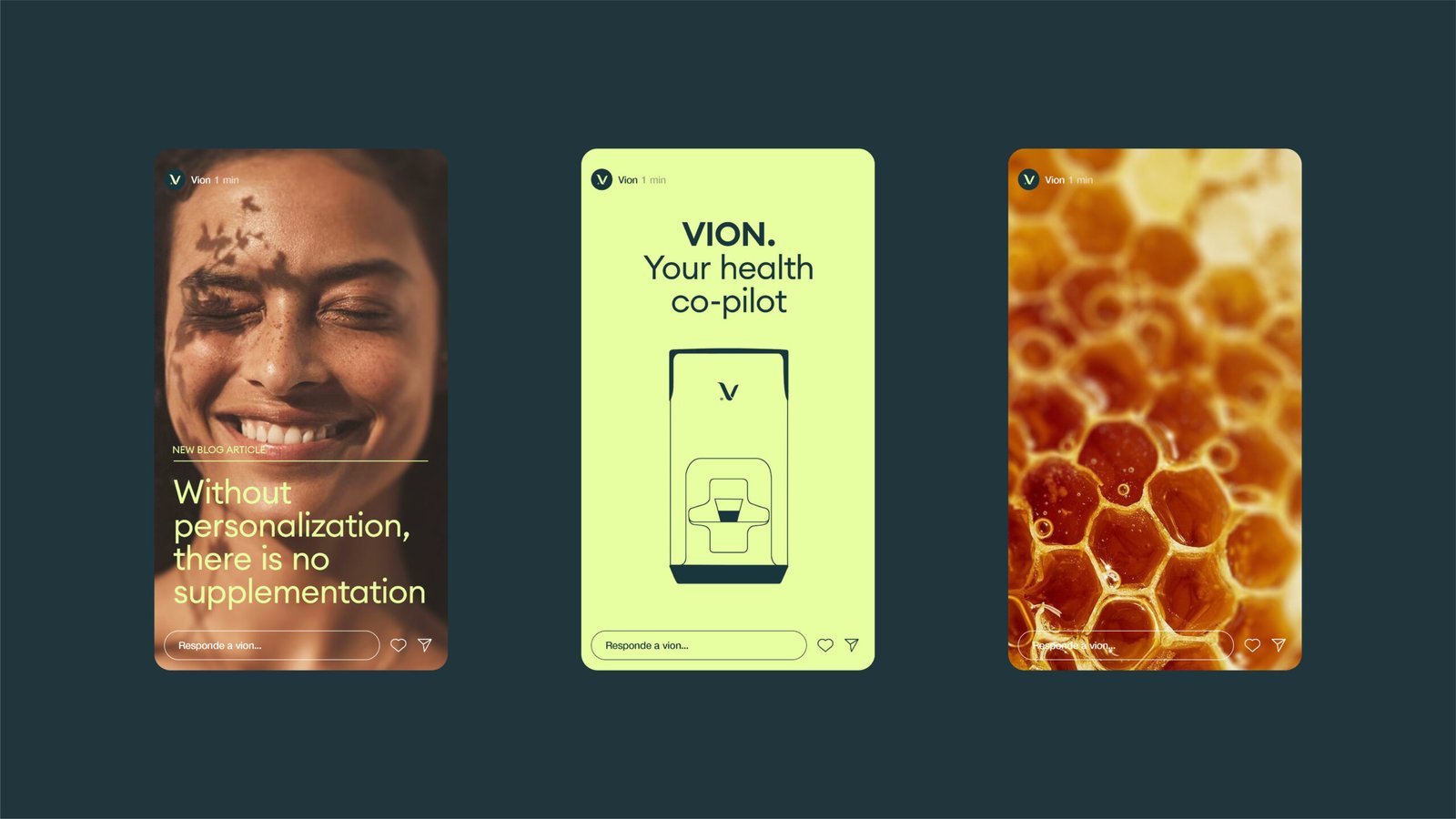 Plantilla_Behance_Vion-11