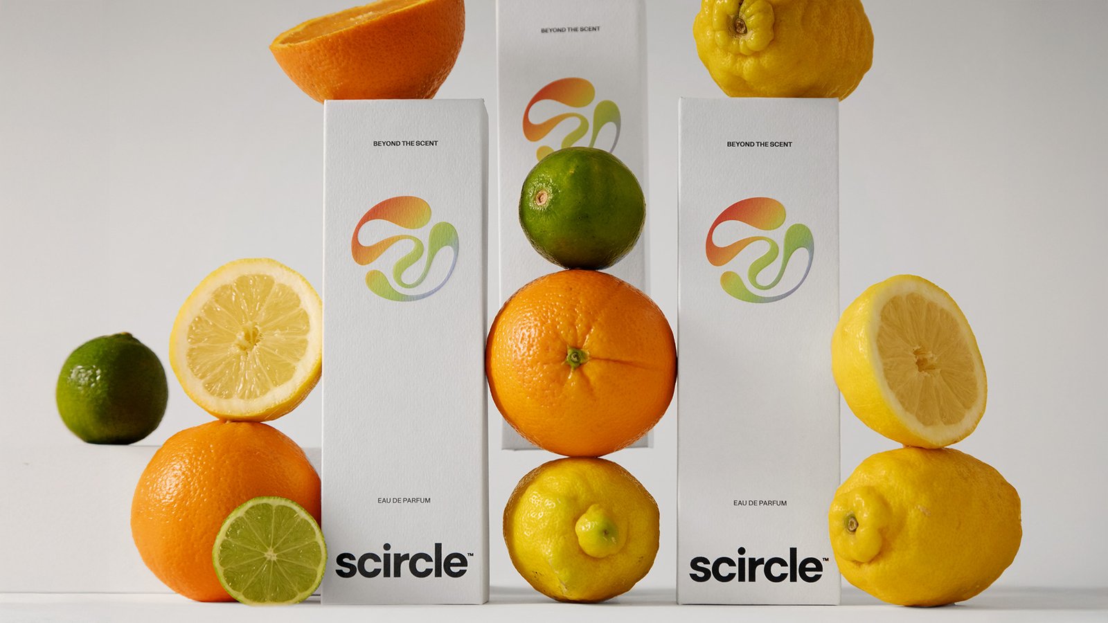 scircle_01